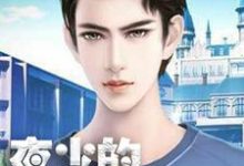 已完结小说《夜少的追妻路》章节免费阅读-飓风文学