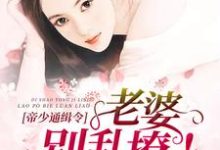 主人公叫苏雅白荣玄宁的小说哪里免费看-飓风文学