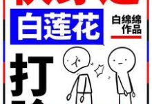 快穿之白莲花打脸专业户这本小说在哪里可以看？哪里有免费试读章节？-飓风文学