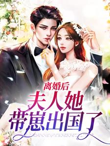 免费看离婚后，夫人她带崽出国了小说的网站有哪些？