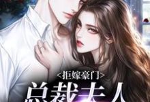 小说《拒嫁豪门，总裁夫人带球跑》在线章节阅读-飓风文学