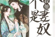 秦萧晗司逸祯司泊熠为主角的小说好看吗?免费读皇叔他不是妻奴-飓风文学
