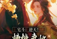 宅斗:逆天!糟糠妻她转身成了王妃小说有没有完结版在线?-飓风文学