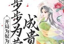 陈皎霍翱的故事在哪本书里?免费阅读开局为奴为婢,步步为营成贵妃-飓风文学