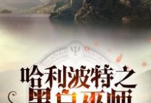 主角罗斯·邓曼莱昂·迈斯小说完结版在线阅读，哈利波特之黑白巫师免费看-飓风文学