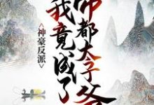 神豪反派:我竟成了帝都太子爷这本小说怎么样?免费在线阅读试试-飓风文学