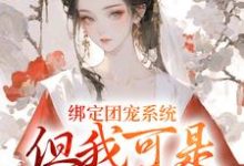 小说《绑定团宠系统,但我可是大反派》章节免费阅读-飓风文学