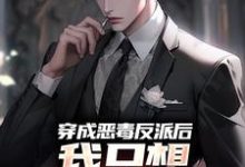 小说《穿成恶毒反派后，我只想离婚保平安》在线章节阅读-飓风文学