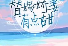 替嫁娇妻有点甜章节免费在线阅读,苏颜兮顾西城洛千婷苏小北完结版-飓风文学