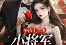 小说《牛肉干管饱，小将军主动入赘》章节免费阅读-飓风文学
