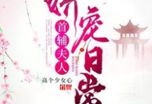首辅夫人娇宠日常小说，首辅夫人娇宠日常苏念念陆寒川-飓风文学