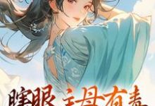 端木静姝小说瞎眼主母有毒，不做也罢章节免费阅读-飓风文学