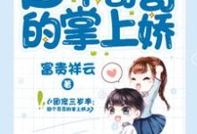 求团宠三岁半：四个哥哥的掌上娇小说免费资源-飓风文学