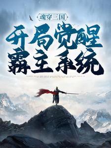 魂穿三国，开局觉醒霸主系统小说，魂穿三国，开局觉醒霸主系统免费阅读