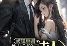 乔予薄寒时小说破镜重圆：总裁别跪了，夫人拒绝原谅在线阅读-飓风文学