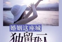 婚姻这座城,独留我一人陆微凝项锦东小说在线章节免费阅读-飓风文学